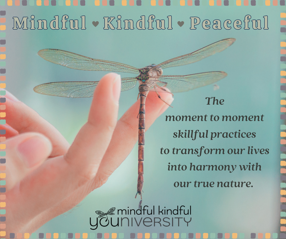 Journal – Mindful Kindful YOUniversity